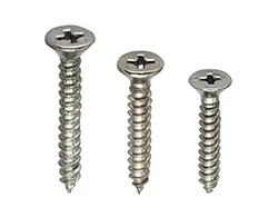 Inconel Grade 601 Self Tapping Screw